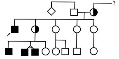 Case report: Mohr-Tranebjaerg syndrome: hearing impairment as the onset of an insidious disorder with high recurrence risk